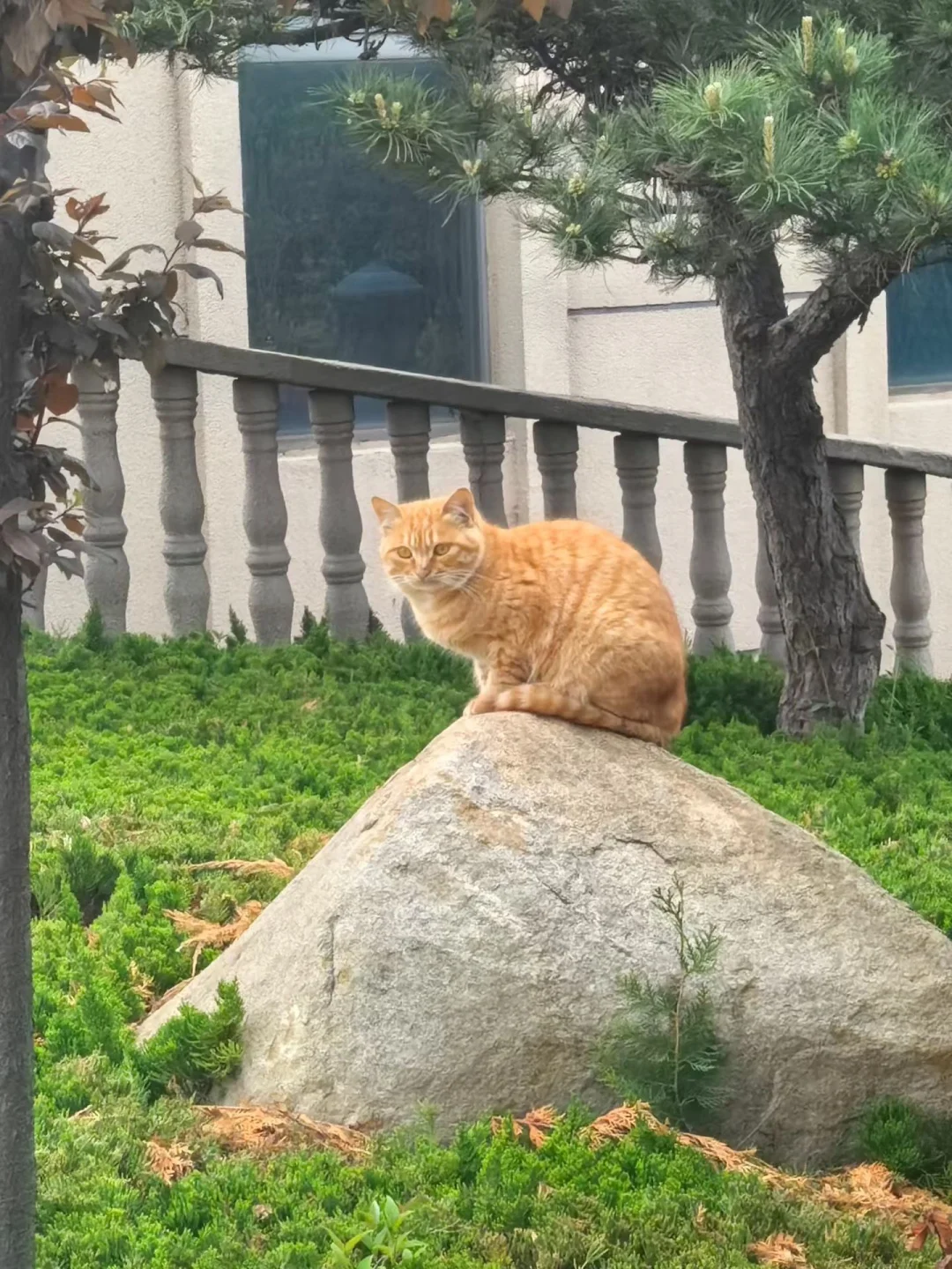 活了很久后，我意识到一件重要的事，那就是过去我最担心的那些事情，大部分...