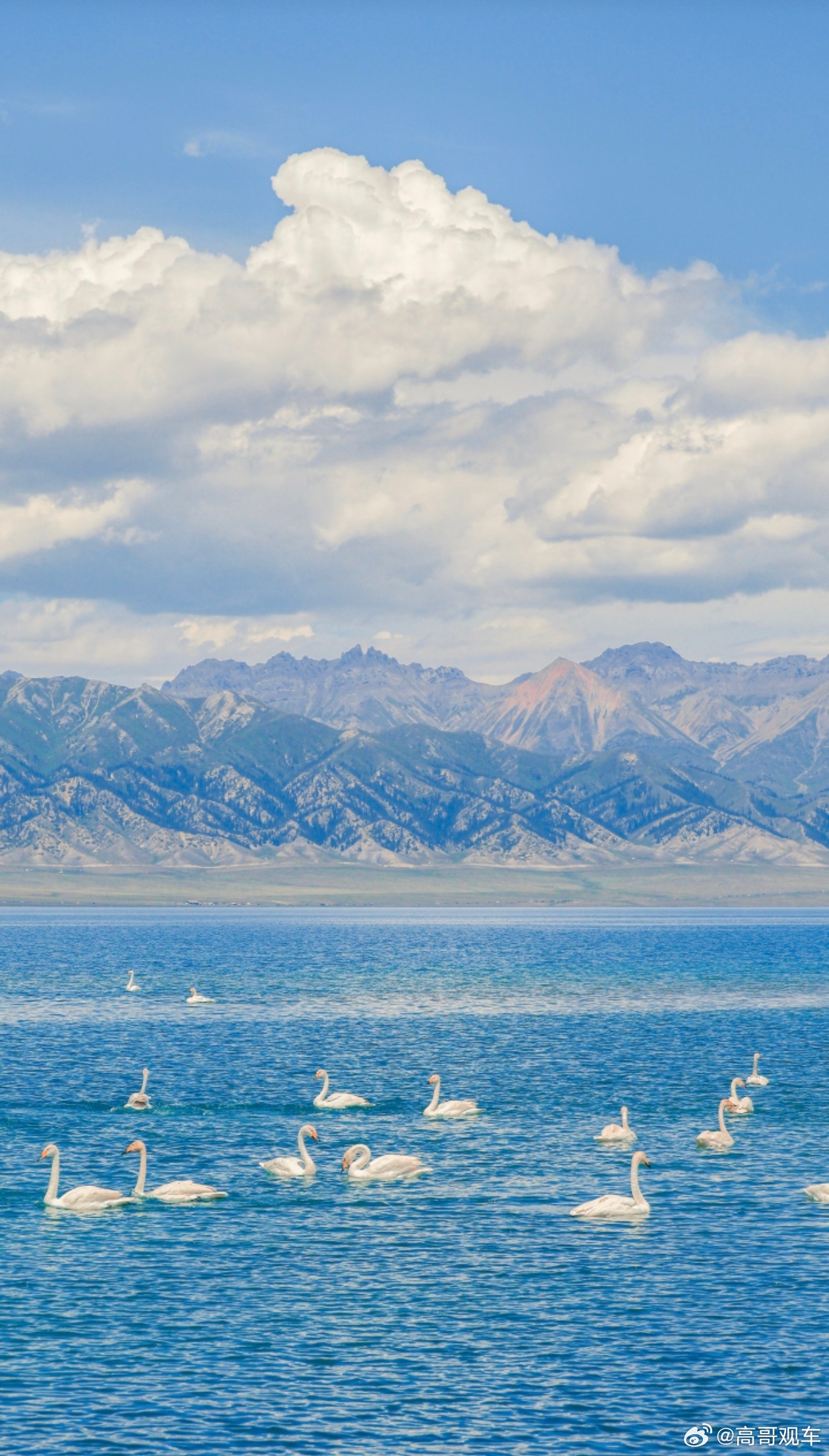 李要得回应50万奖金到账后分配新疆有相关政策吗？我有一个想法