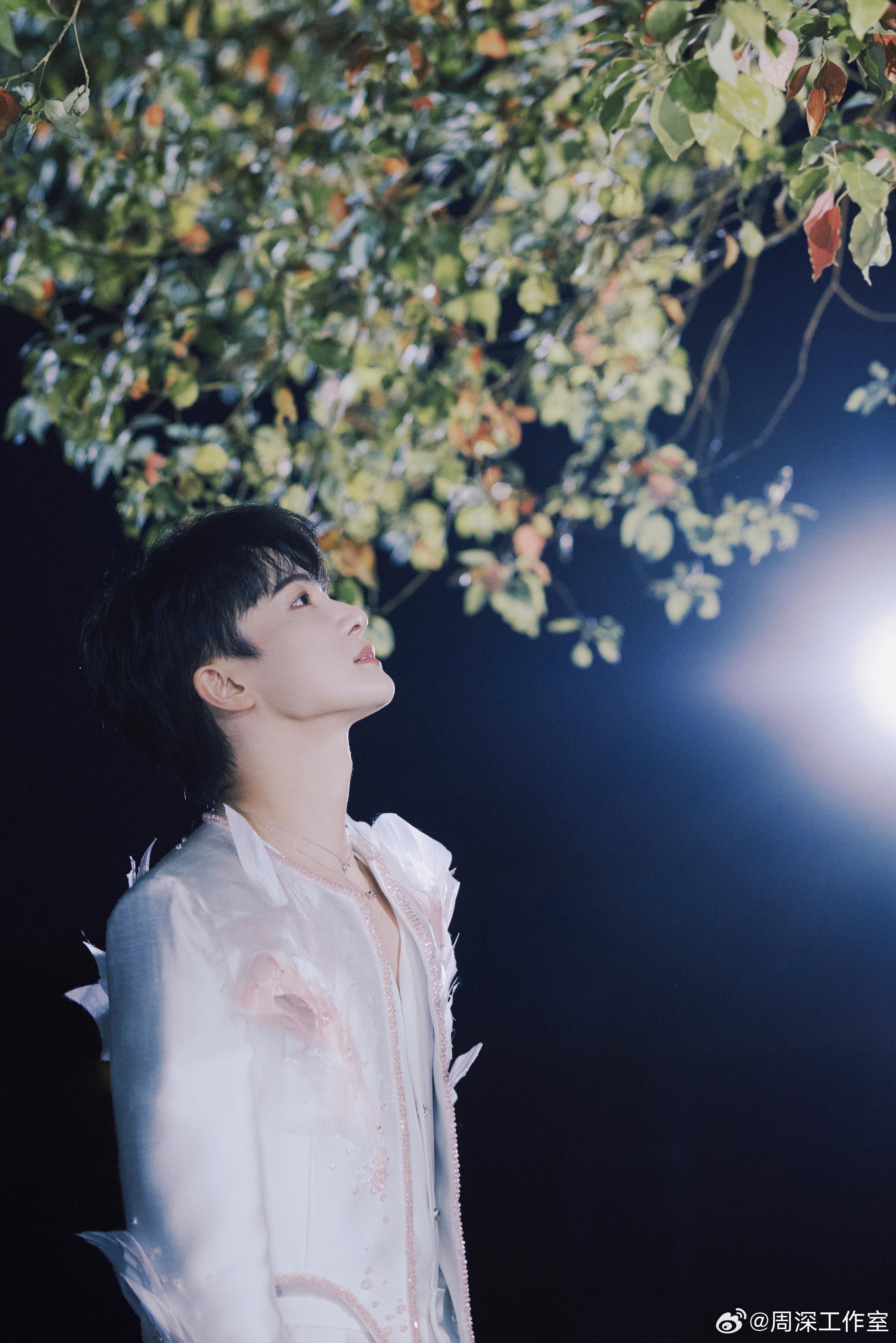 周深 周深献唱挽救计划主题曲  [2026.04.06]🌟 周深2026深深的