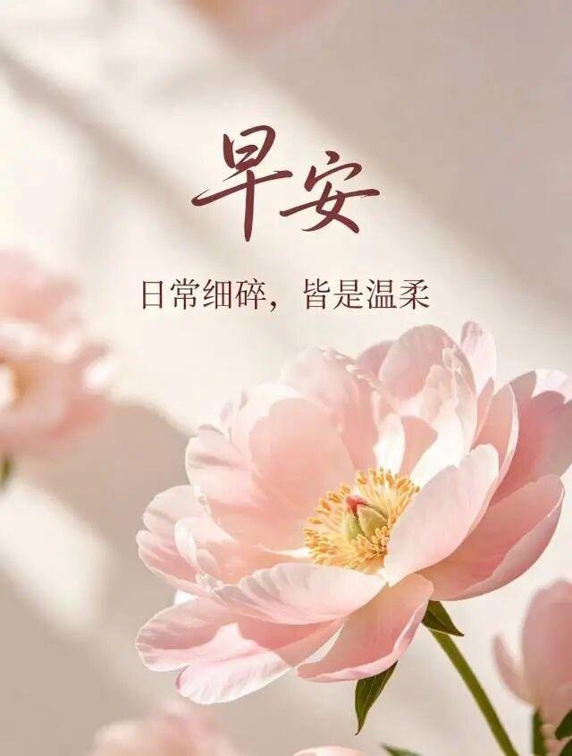 早安 新的清晨，放下昨日琐碎与遗憾。生活藏细碎温柔，用心感受三餐四季。愿我们不慌