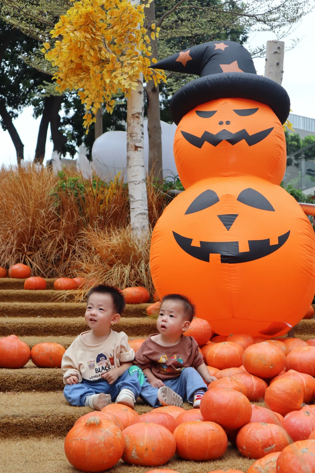 万圣节限定碎片 | 🎃👻做个快乐的捣蛋鬼