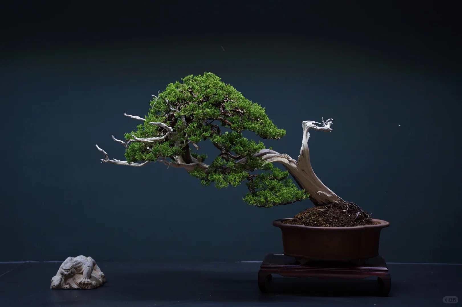 柔与美