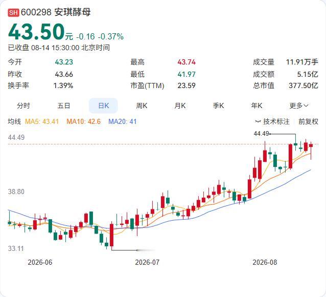 酵母龙头稳中求进：安琪酵母上半年净赚8.81亿，海外市场撑起增长大盘

8月14