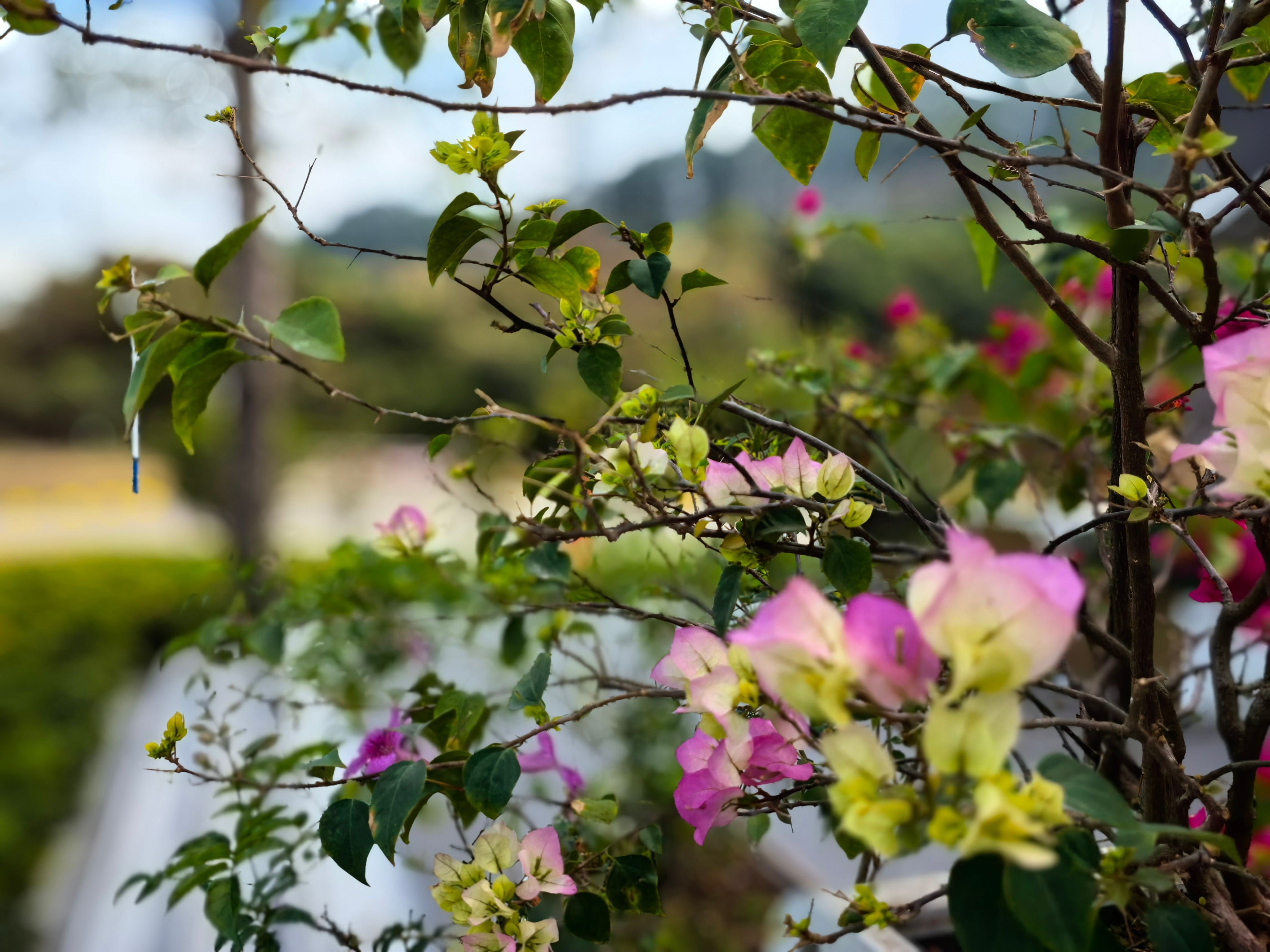 闲话投资1215孙子曰：昔之善战者，先为不可胜，以待敌之可胜。不可胜在己，可胜在