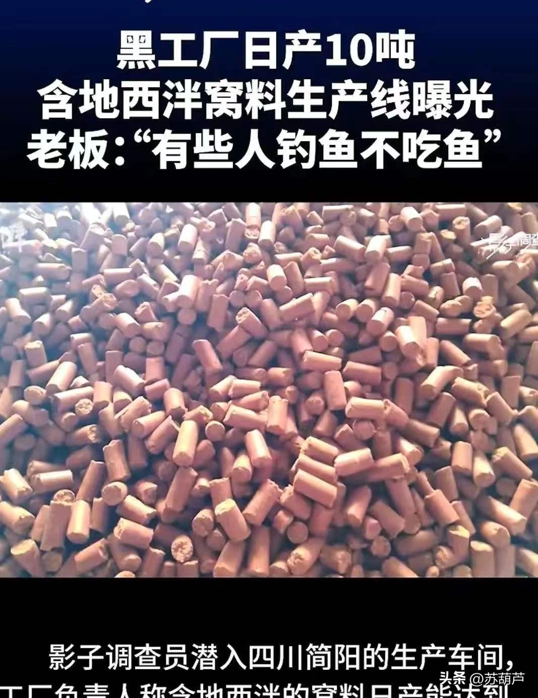 良心都坏透了，居然给鱼吃安眠药！你知道为啥给鱼吃安眠药吗？鱼吃了安眠药有什么好处