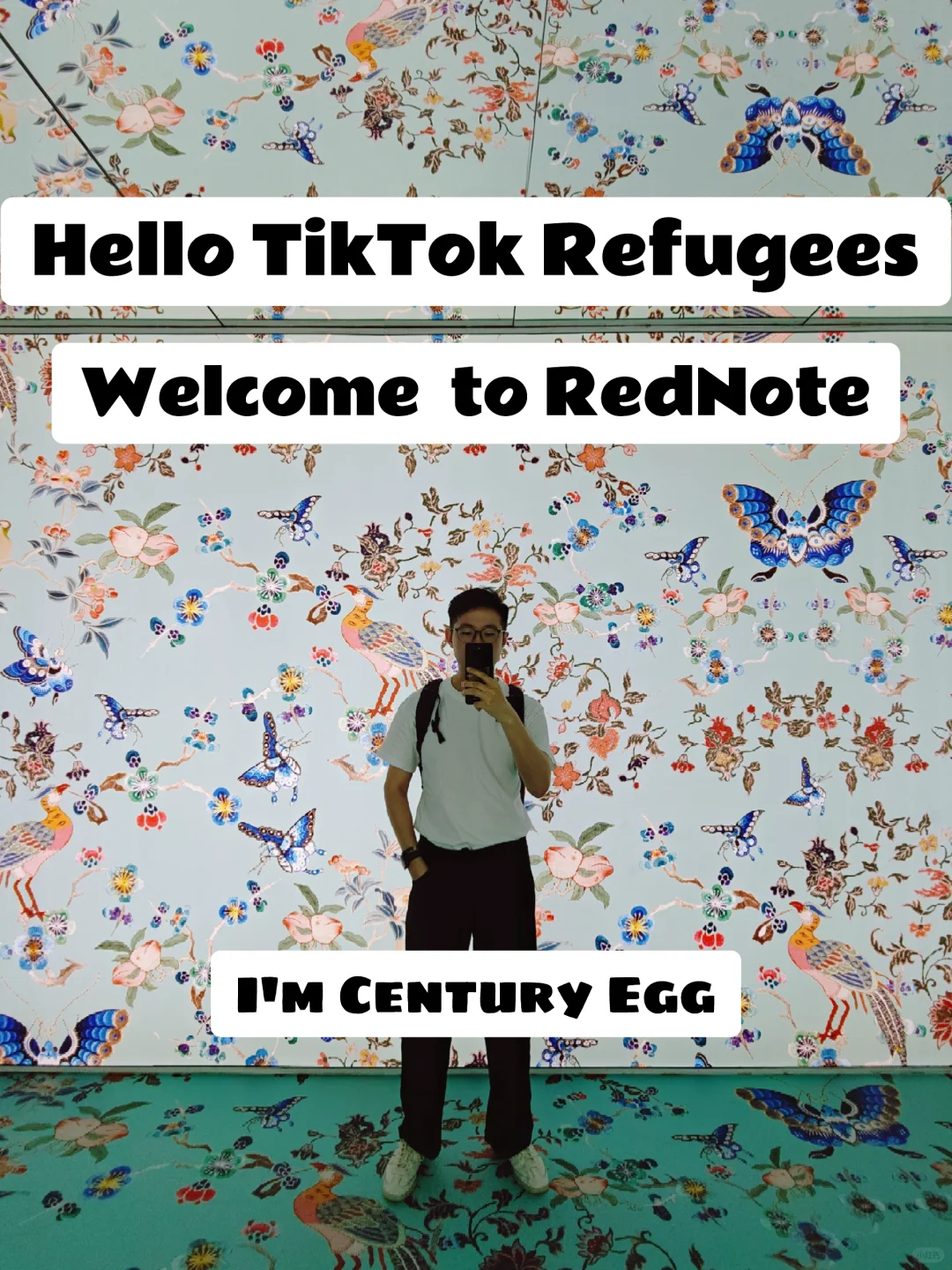 泥壕Hello TikTok Refugees!👋👋👋