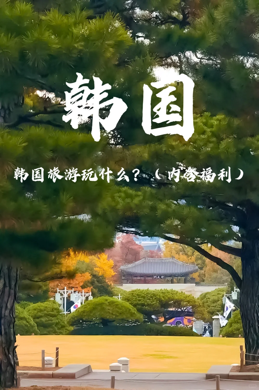 韩国旅行｜这个冬天去韩国走起！（内含福利