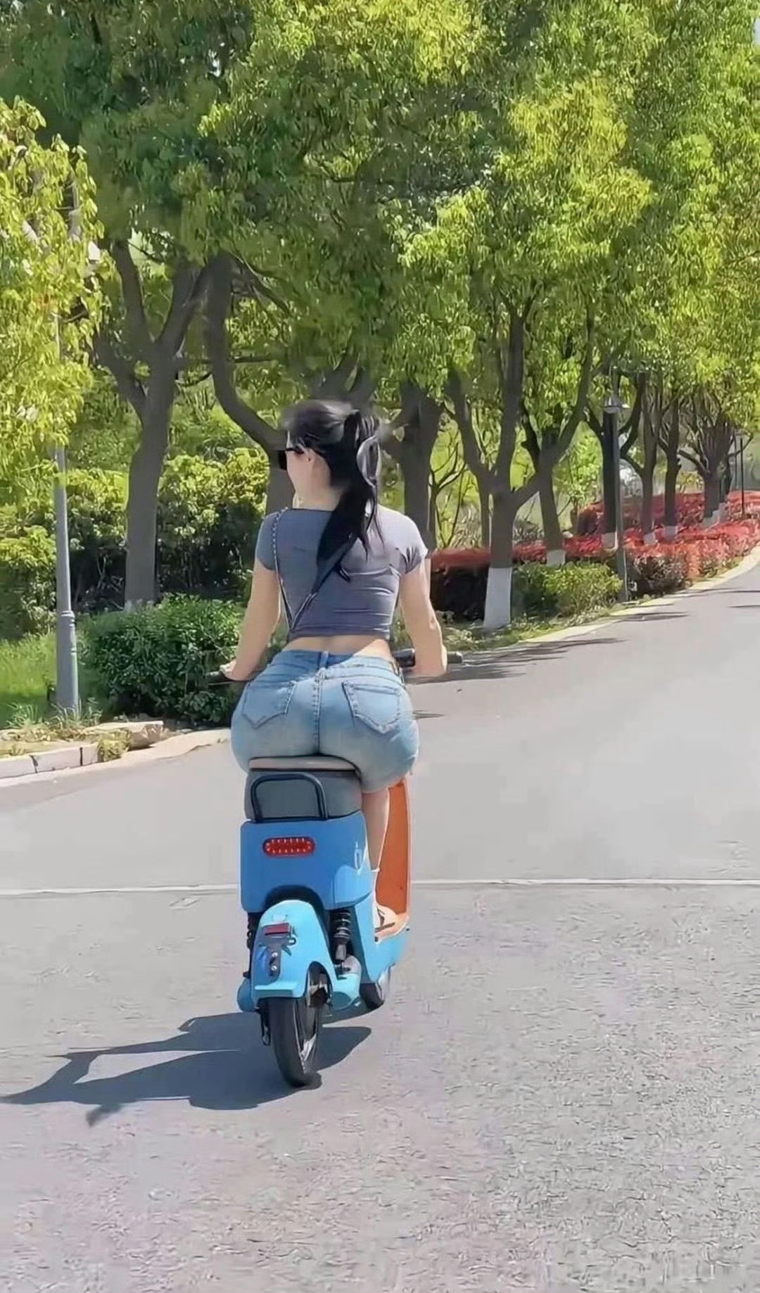 今天适合出去骑车～ 
