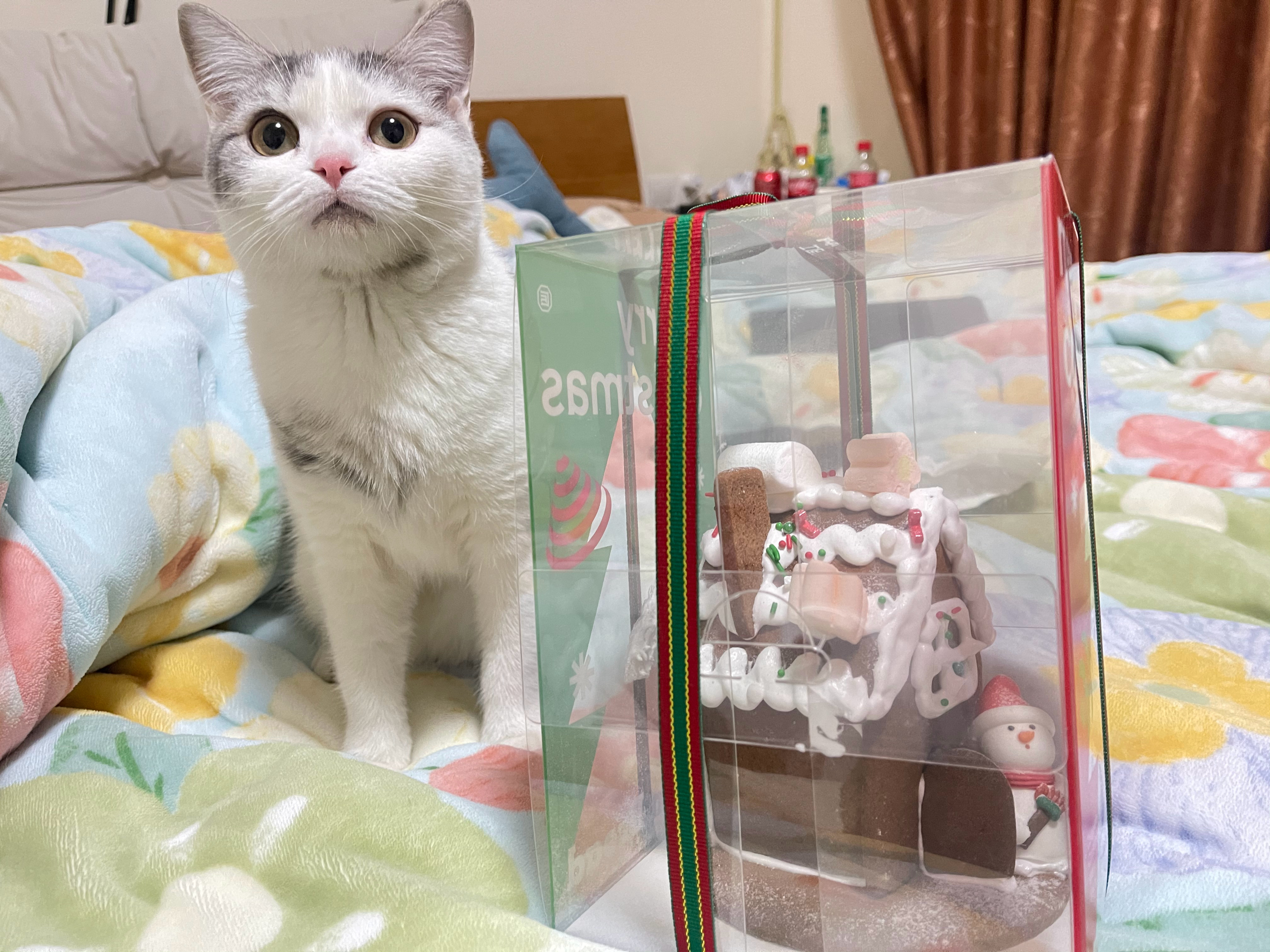 小猫猫和圣诞姜饼屋[心]​​​