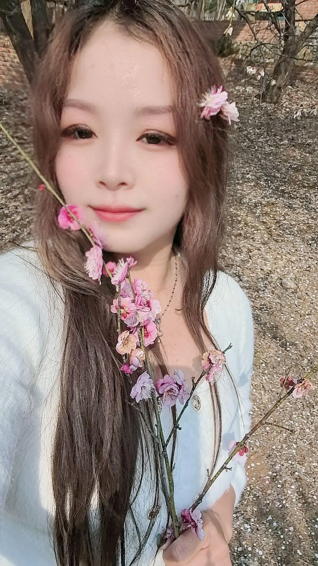 这喜欢的樱花树下甜味，蓉儿想樱花🌸