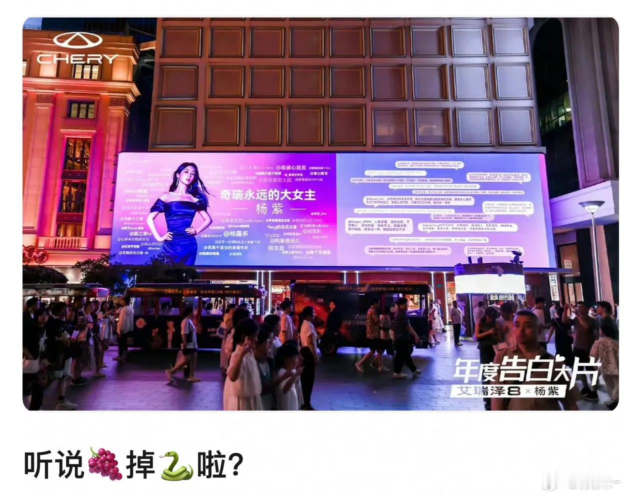 杨紫的全球车代有些人求都求不来