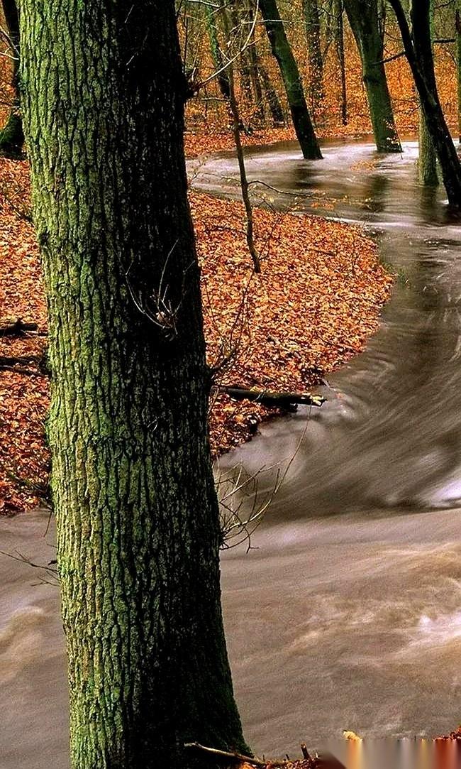 前两天听人说了句特扎心的话，他说：
你孩子混得不好，进不了好单位，不是你孩子不行