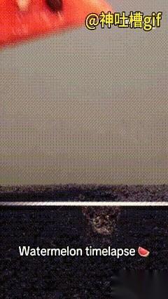 谁能想到，随手埋进土里那个不起眼的小黑点，居然是个“潜伏”的高手？
真的，千万别