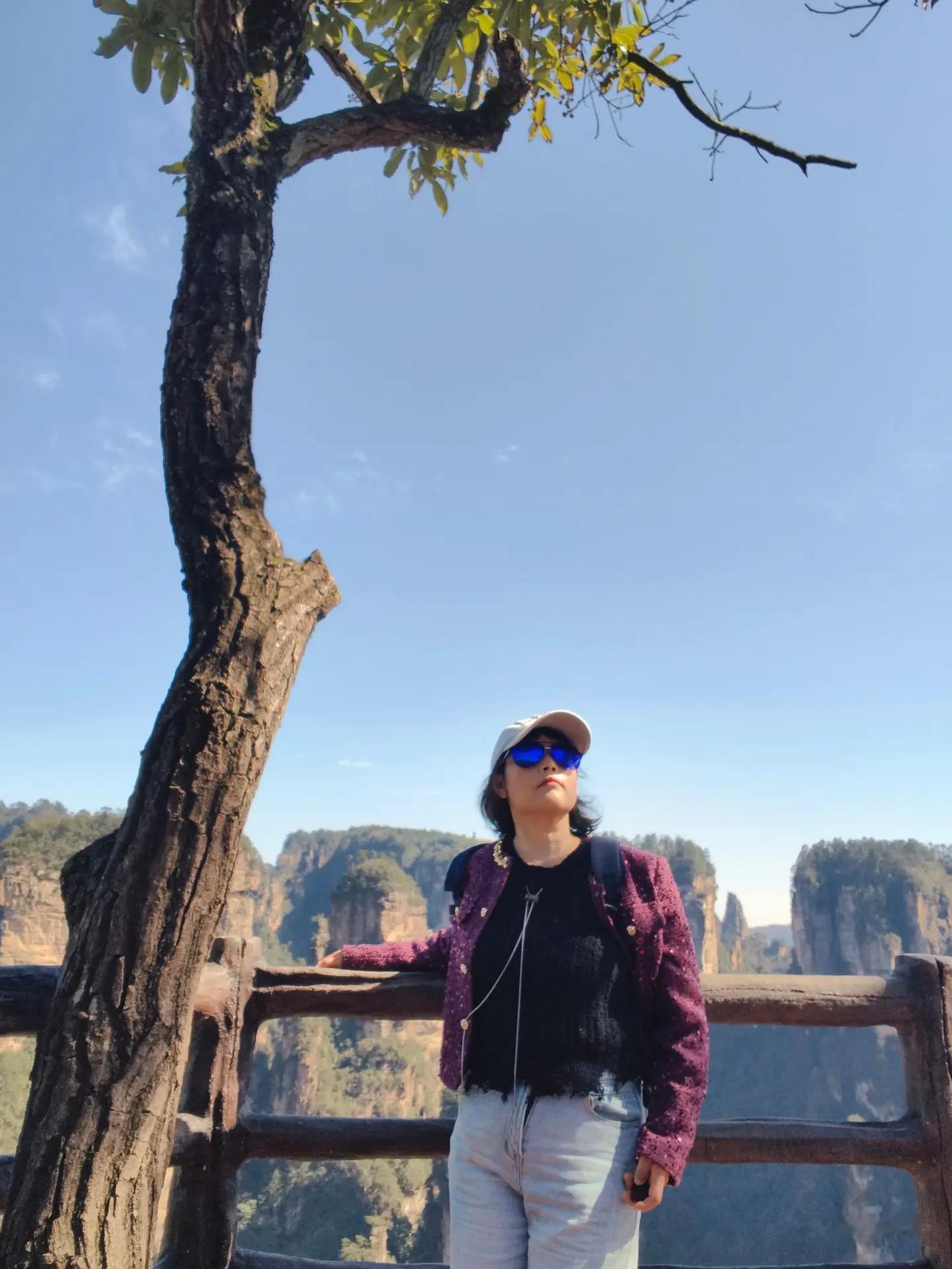 山不见我我去看山