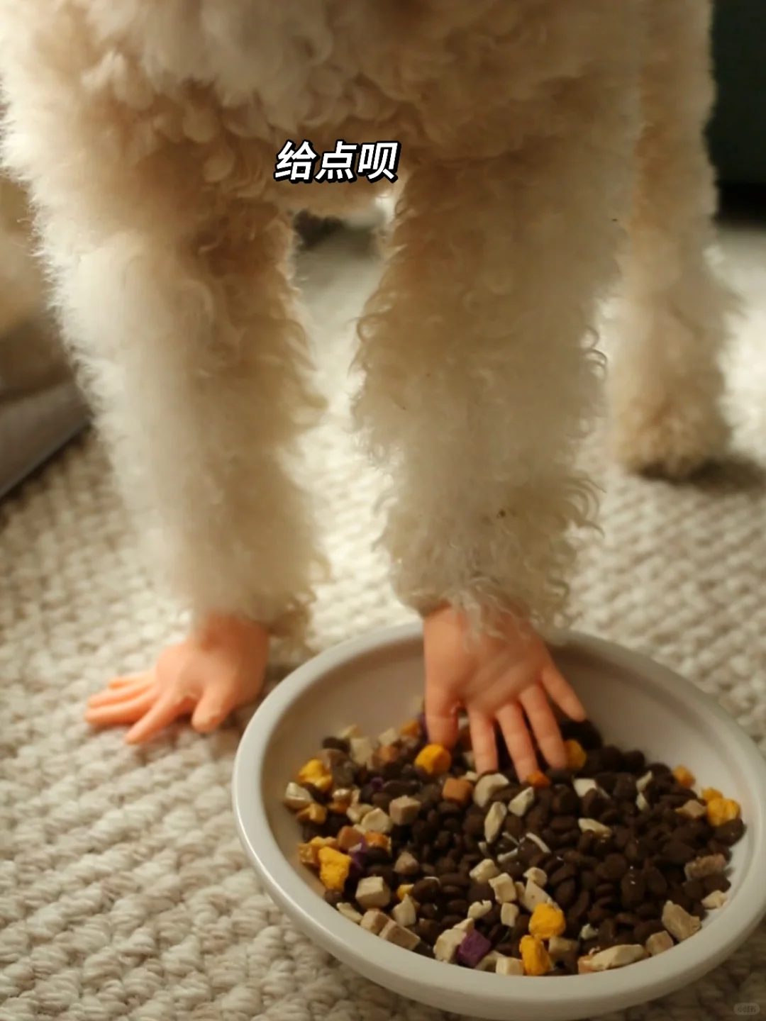 宝宝从哪里学会伸手要饭的…