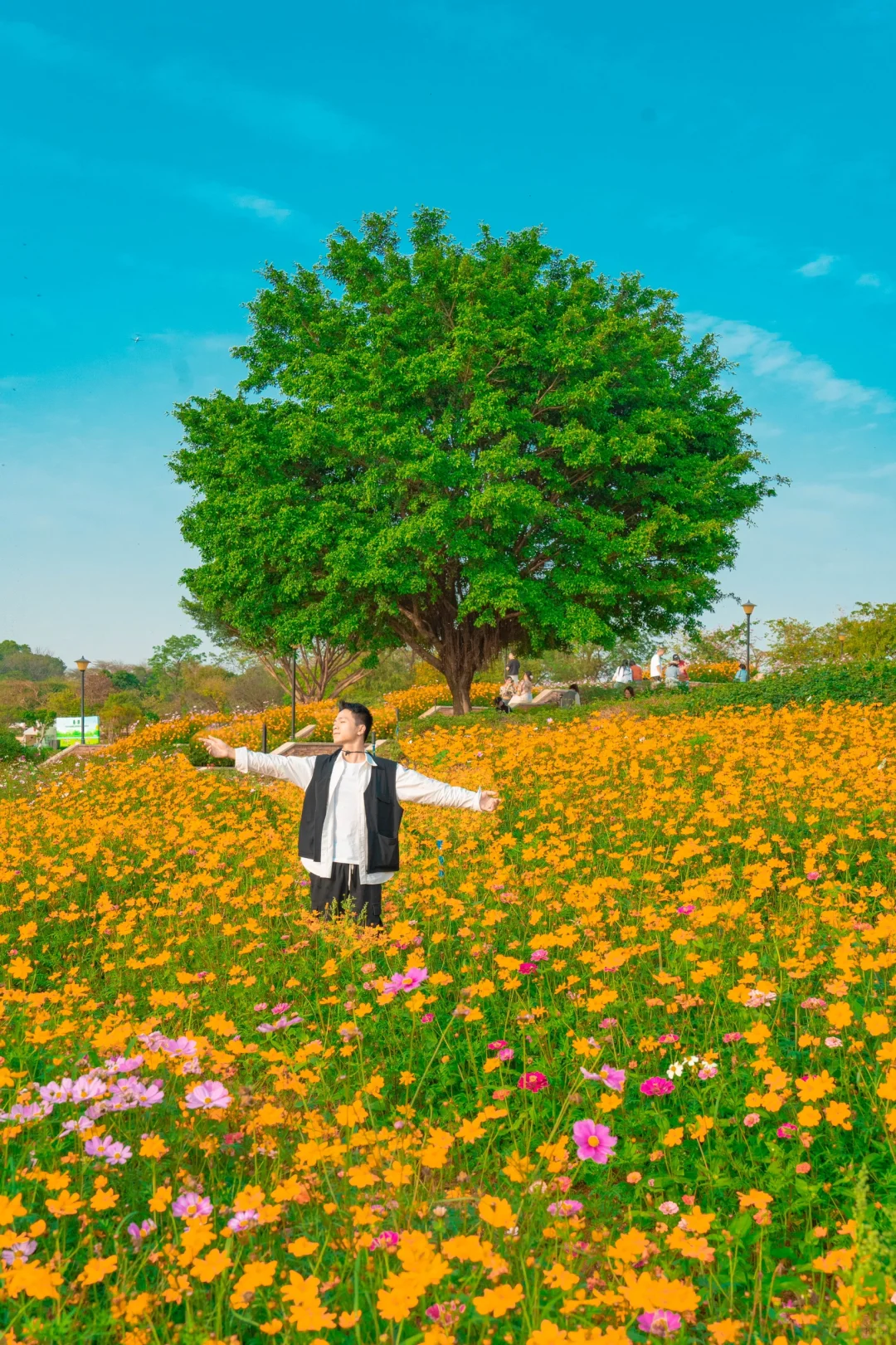 就在广州‼️这个免费公园就像童话世界一样美