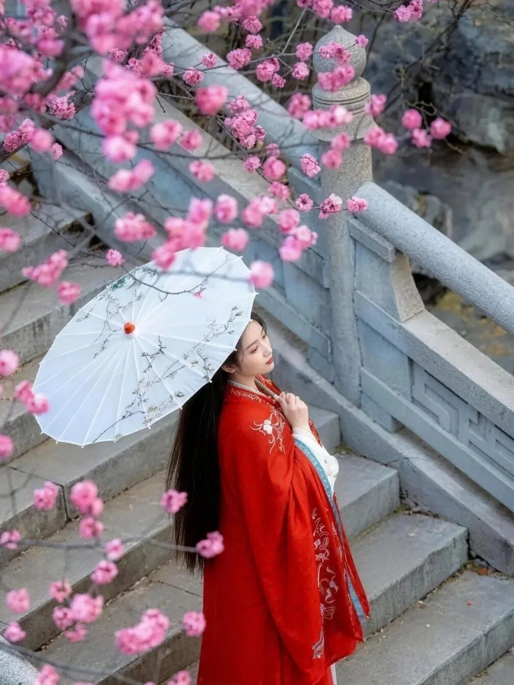 兴庆公园赏梅🌸爆火拍照机位📍线路攻略