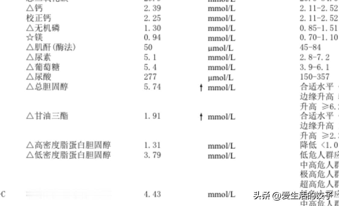 上个月验的血，这样子有两年差不多了，饮食调理加运动慢跑，只是降低一些甘油三酯，低