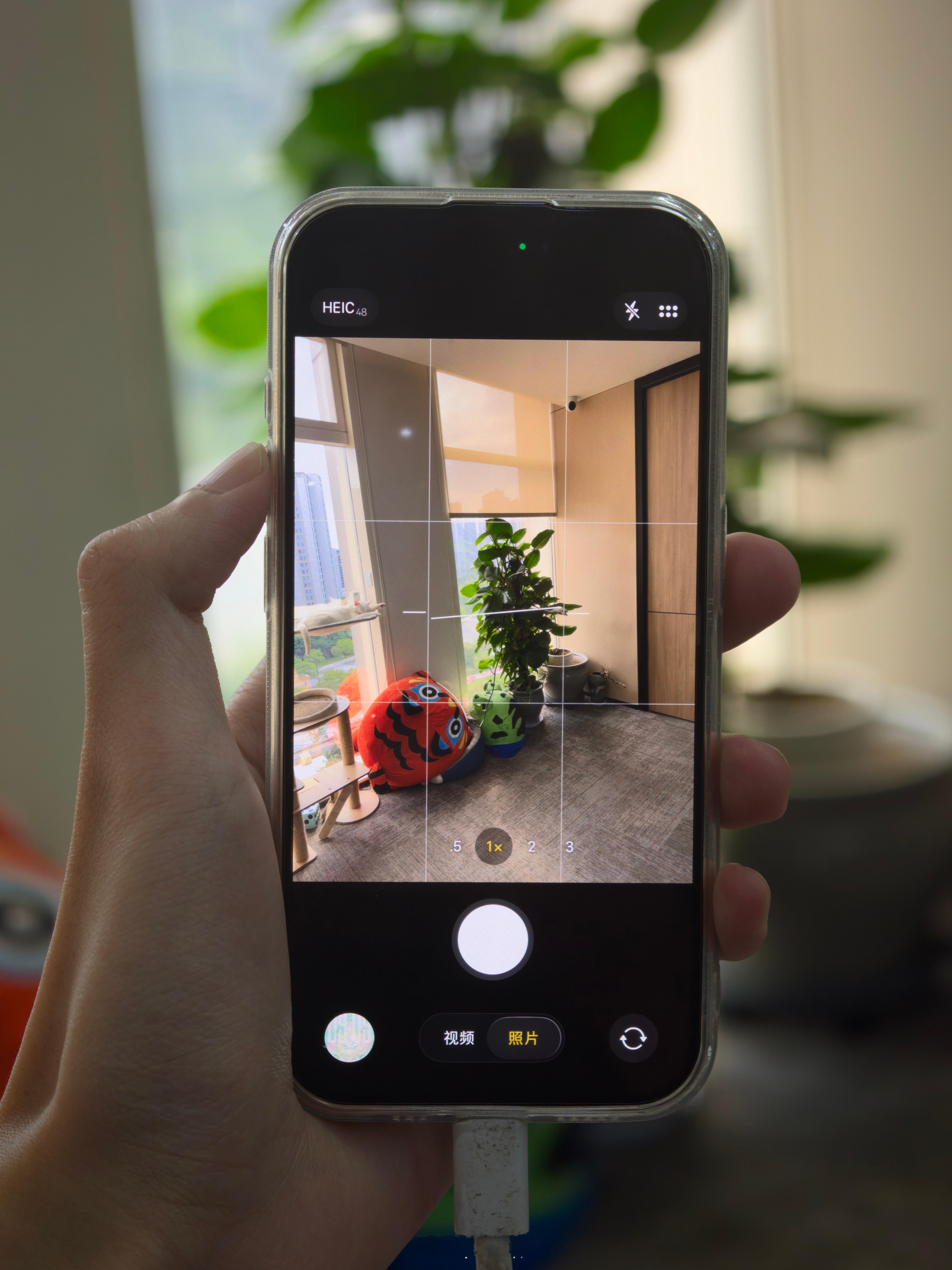 iOS 26的相机倒是真挺不错的，不仅简约，而且要调东西也比较方便[doge] 