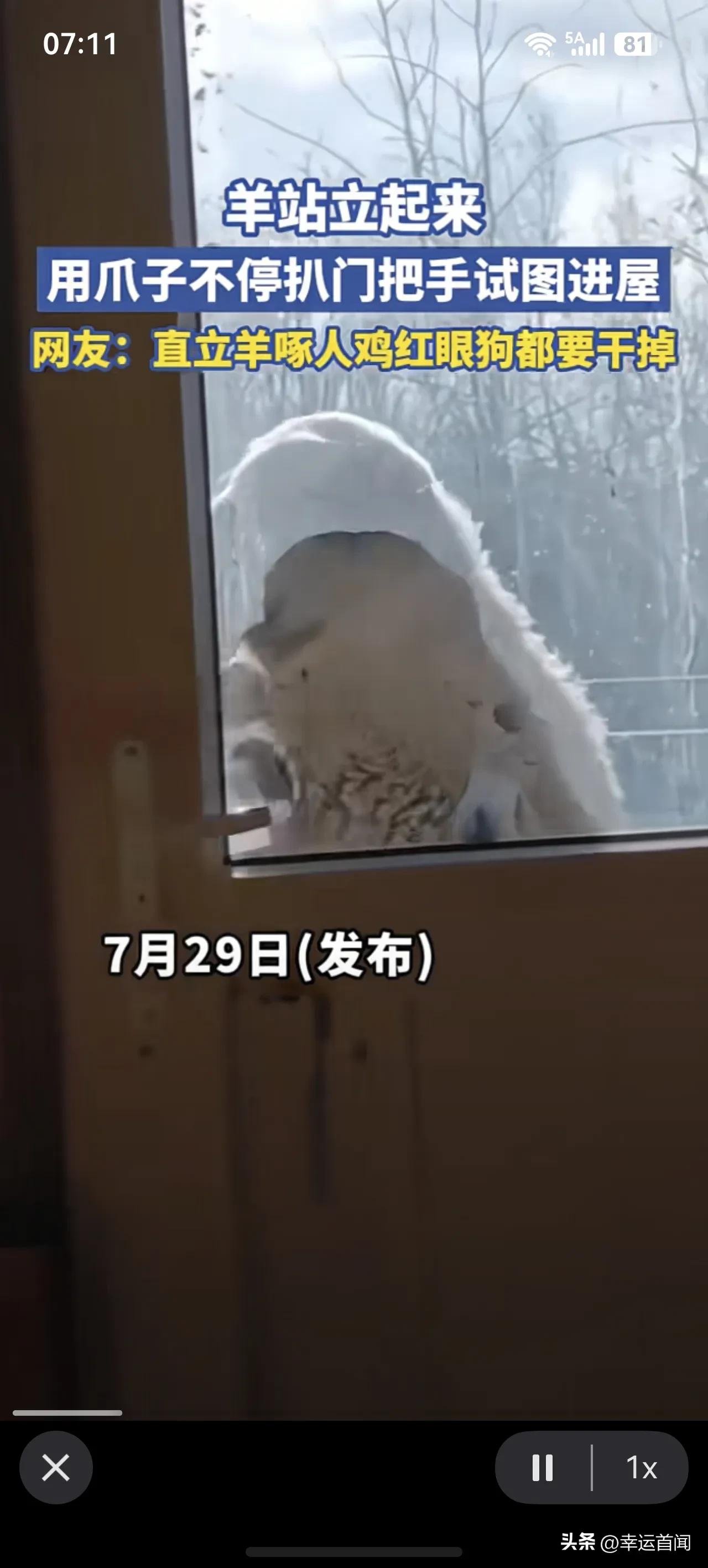 养站起来了，不停的用右侧蹄子扒拉门把手，眼镜通红，左侧蹄子使劲伸进屋内，被主人拍