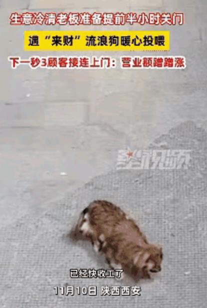 科学也解释不清了！近日陕西西安，一老板看没有生意，就打算提前关门，关门时发现门口