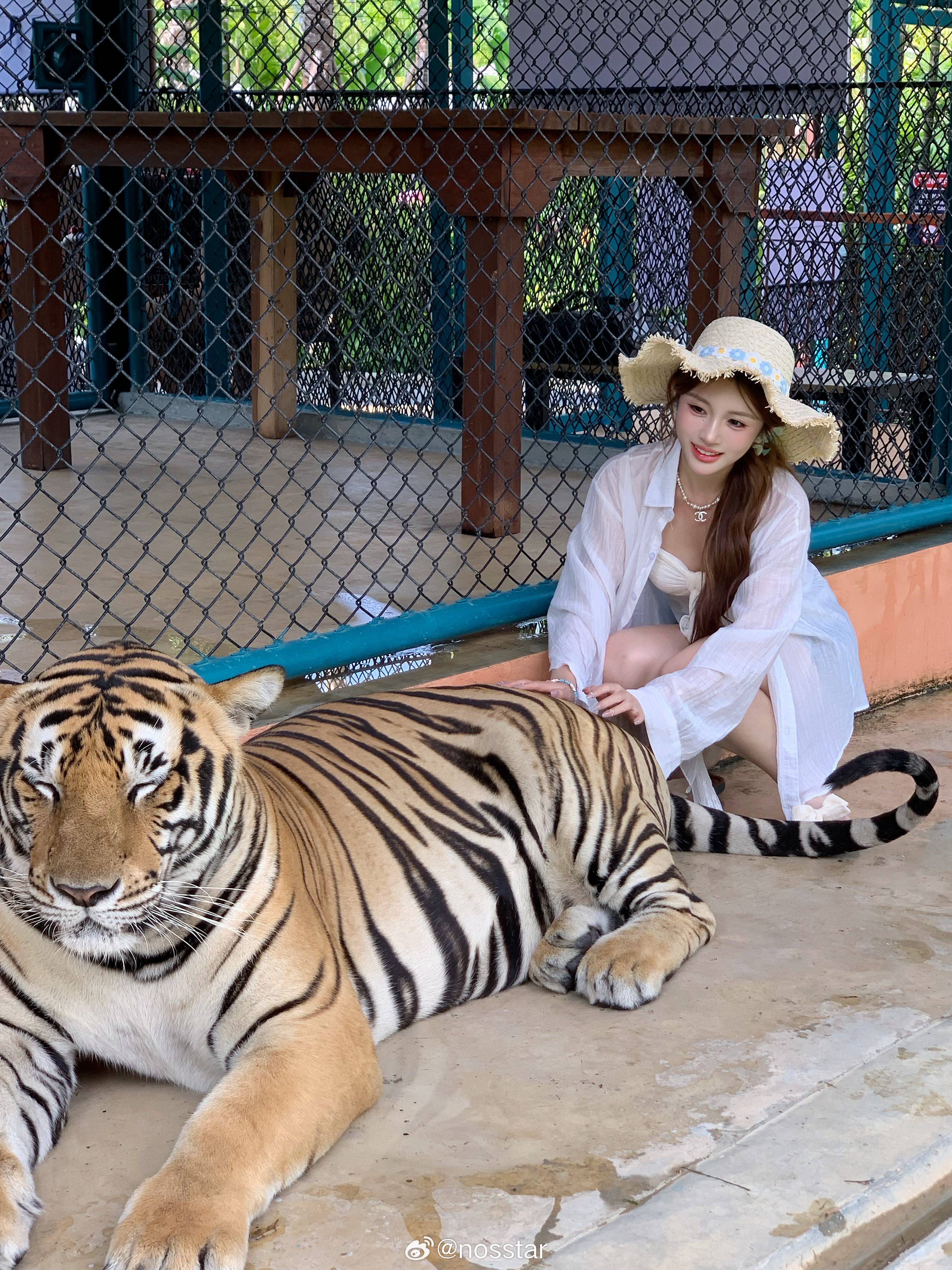 普吉 泰国·普吉岛