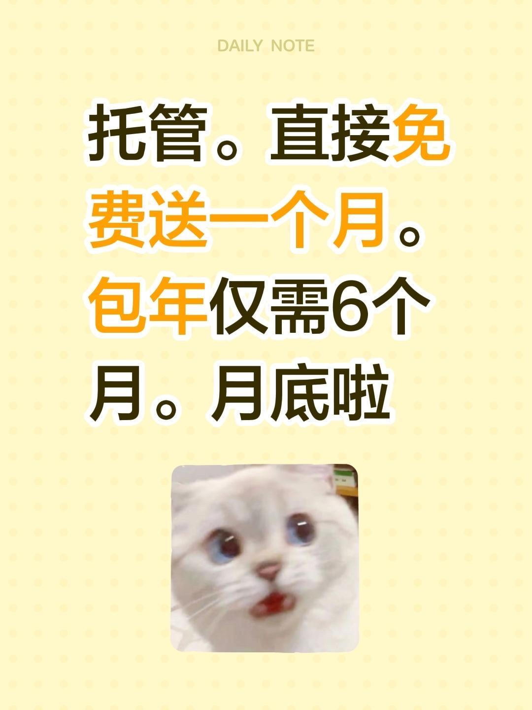 托管。直接免费送一个月。包年仅需6个月。月底啦