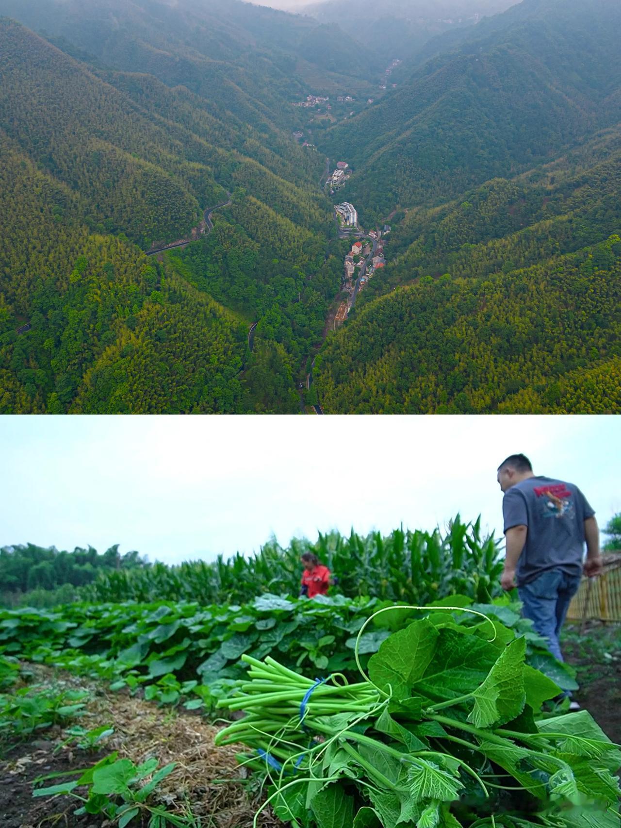 以为安吉够味了，直到我来到碧瑶山庄才明白

去过安吉无数次，每一次关于她的美景都