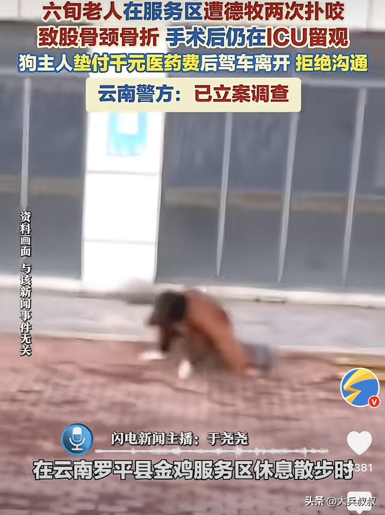 云南，一六旬女子和家人驾车路过高速服务区休息时，结果从一辆车里窜出一条德牧，德牧