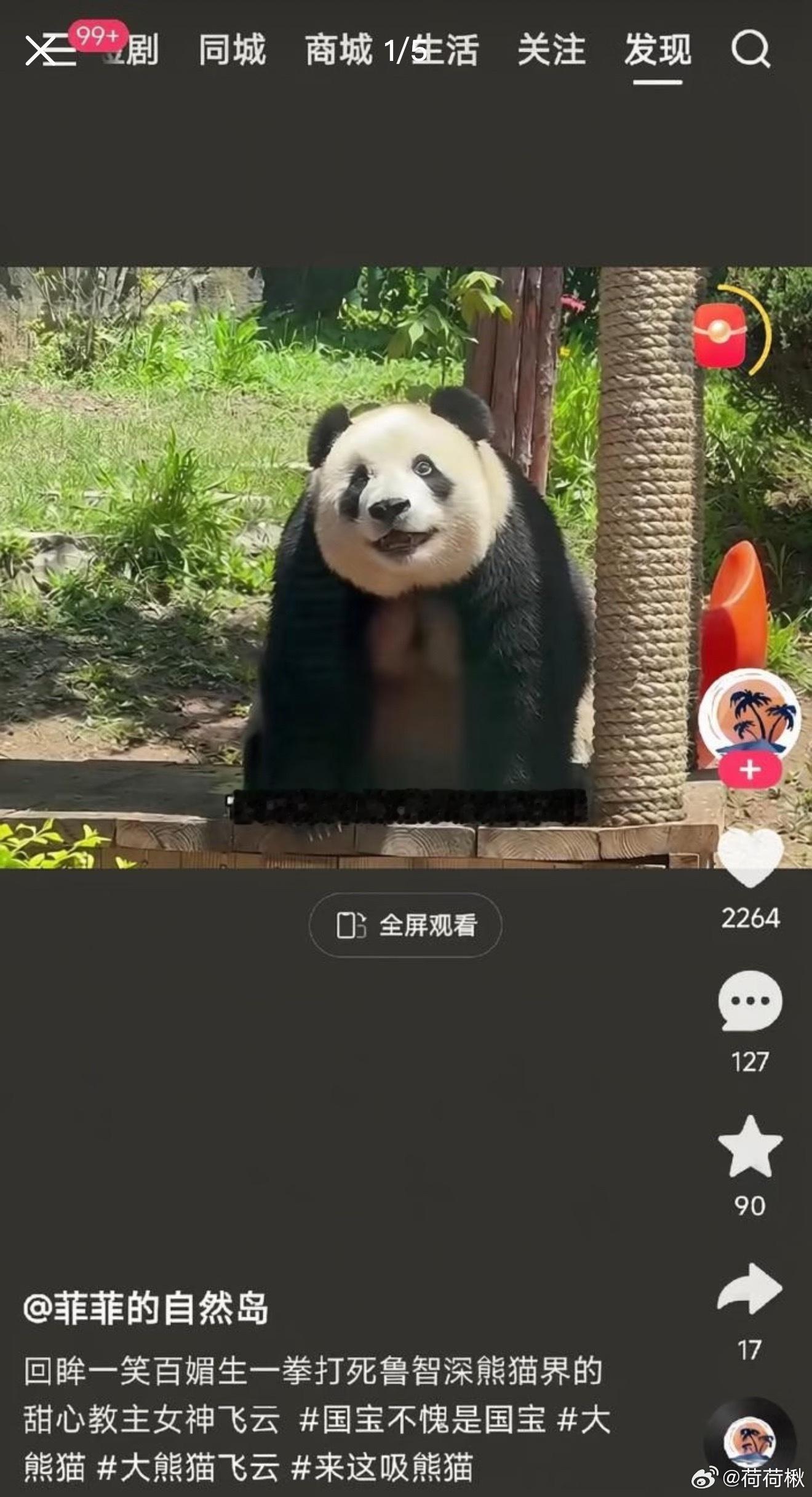 不是粉丝说的哟
