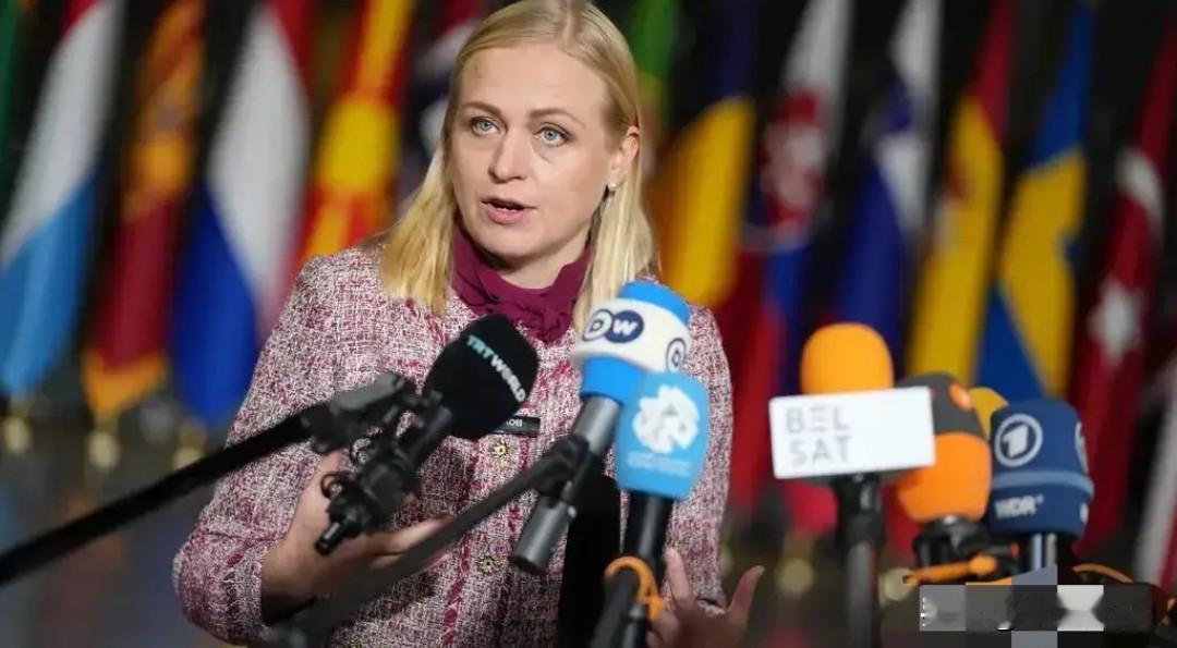 芬兰外长耍横逼中国二选一，中方当场打脸没商量
 
4月22日芬兰外长瓦尔托宁放狠