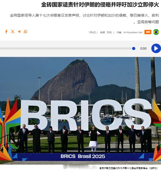 金砖国家 ​​​