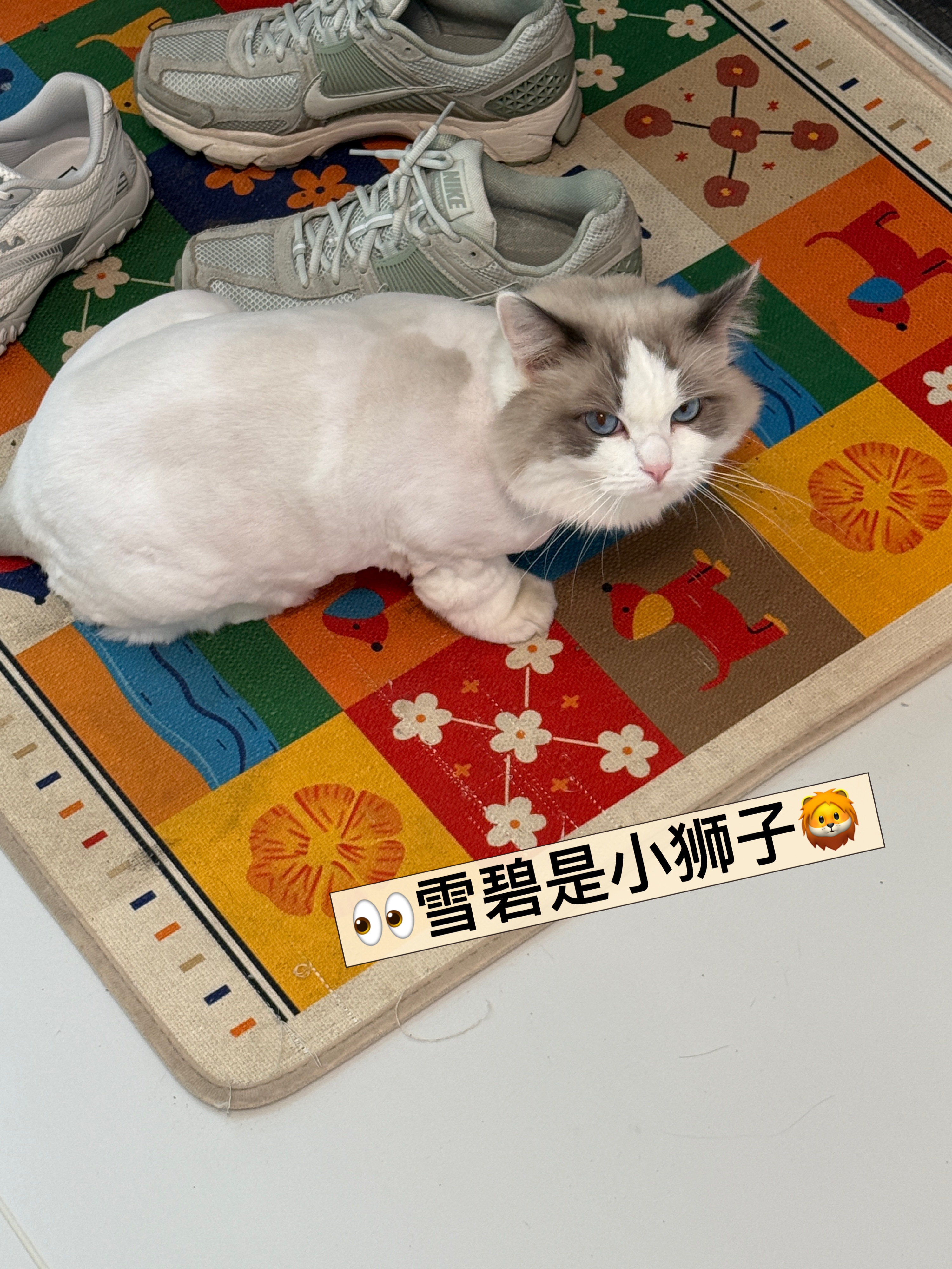 //.日子慢慢变好啦 