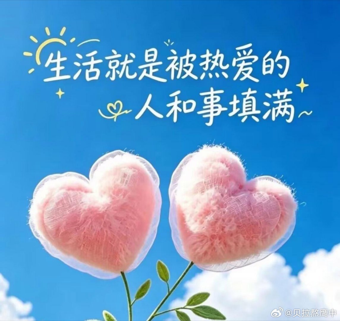 阳光信用 不是所有真心都能被珍惜，不是所有付出都能有回应。不必逼自己融入不适合的