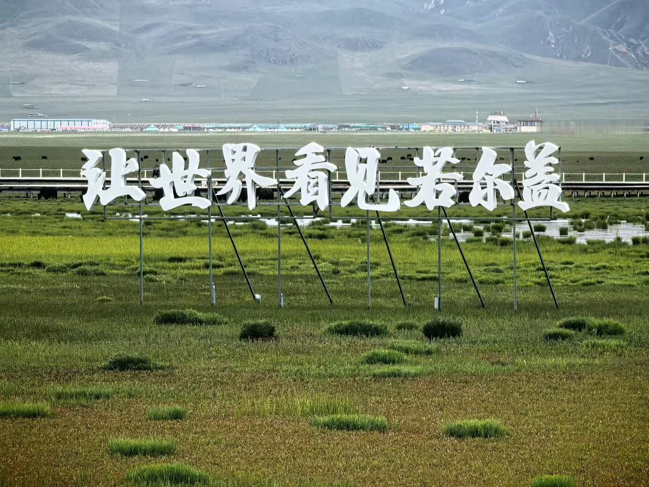 说好的甘南游，一不小心就溜达到四川了。
花湖景区位于四川省阿坝藏族羌族自治州若尔