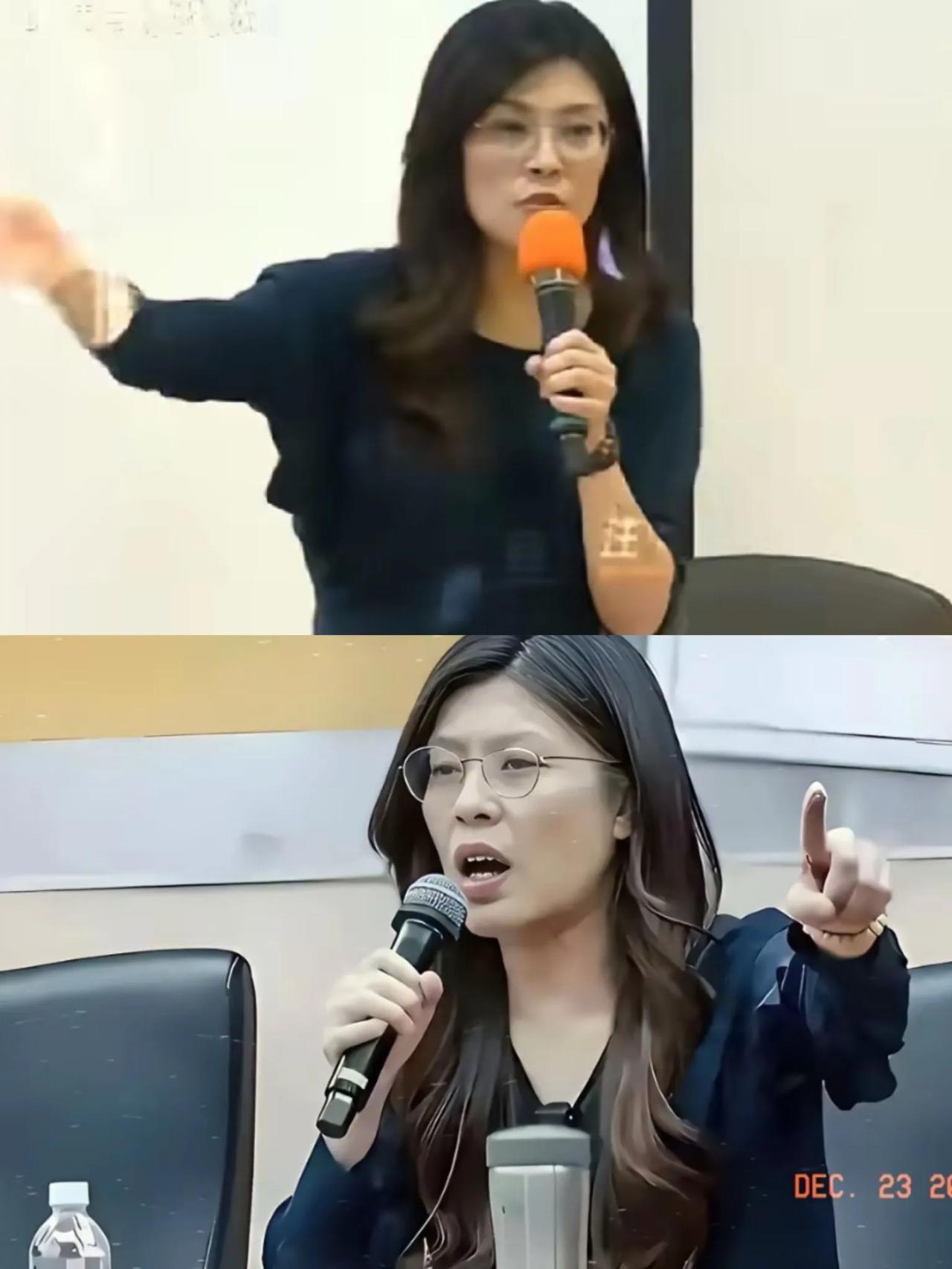 12月22号晚上，台北东吴大学演讲会，郑丽文掷地有声的说：“我打小认的第一个字就