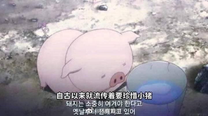 嘴嘴最精了，村里杀猪让你帮忙按，你都要偷摸嗦两口猪咪。 ​​​