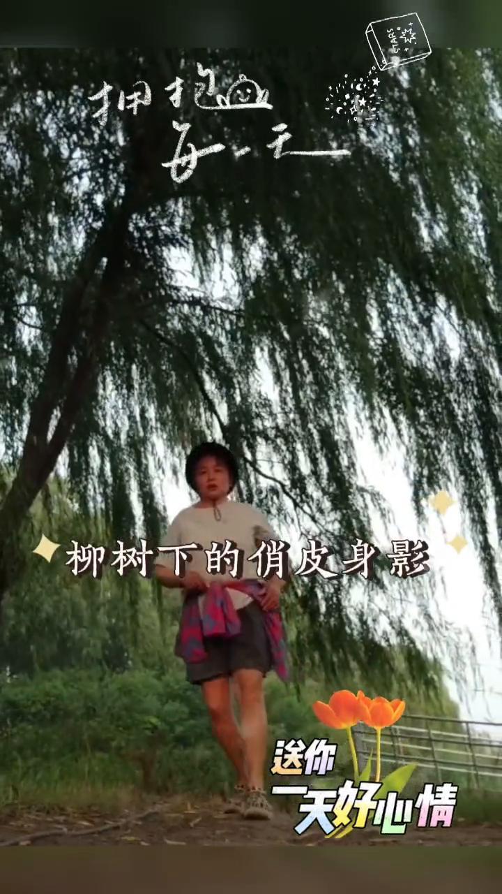 拥抱秋天。
林间跑道梦轻舞，送你一天好心情。湖畔栖心梦开花，黄花逗趣心欢喜。柳岸