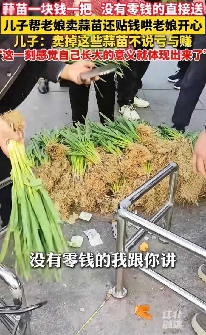 一把一块钱的蒜苗，藏着最暖的反哺！安徽这位儿子的做法，看哭网友

近日，安徽蚌埠