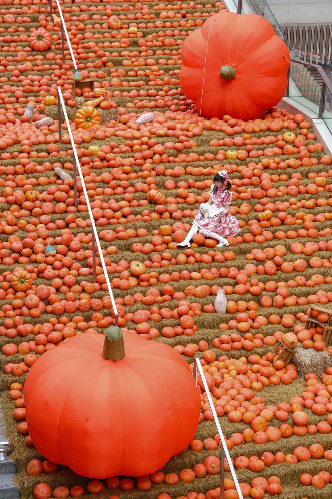 万圣节🎃氛围感南瓜阶梯！重庆你太会了！