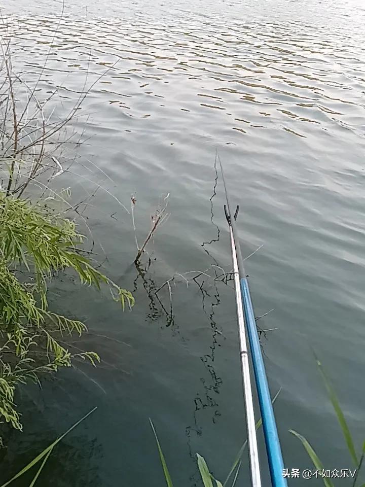 人，必须有一项不良爱好
不要总装的一本正经
太过自律的人生索然无味
必须偶尔给自