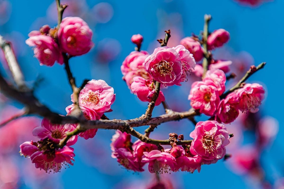 不要为了取悦谁，而迷失自己，真正喜欢你的人，喜欢你所有的样子，懂你的人，自然会知