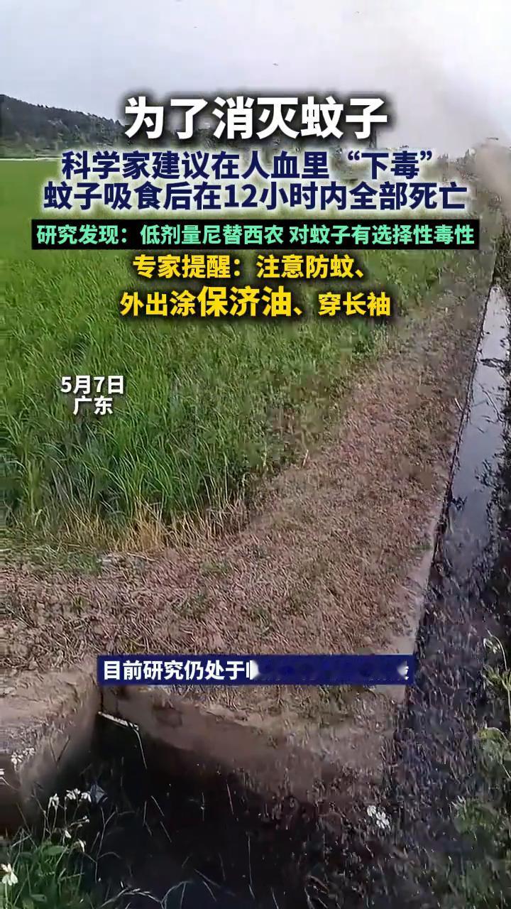 为了消灭蚊子，科学家建议在人血里"下毒"，蚊子吸食后在12小时内全部死亡。
5月
