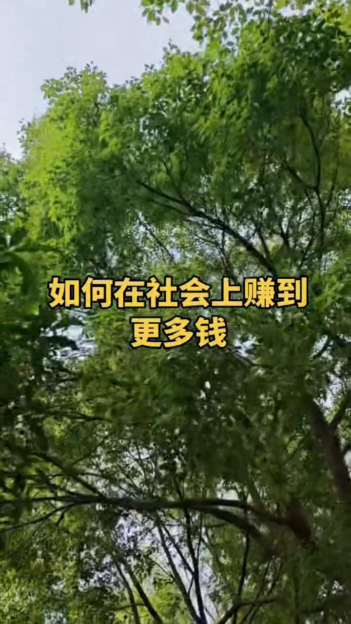 想要在这个社会上赚到钱其实特别简单，就是想在这个社会上赚钱，不想作为一个普通人，
