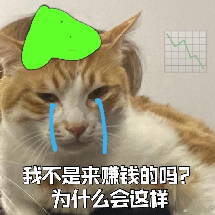 说好一起当韭菜，结果你们背着我偷偷定投加仓？这感觉就像上学时约好一起不复习，结果
