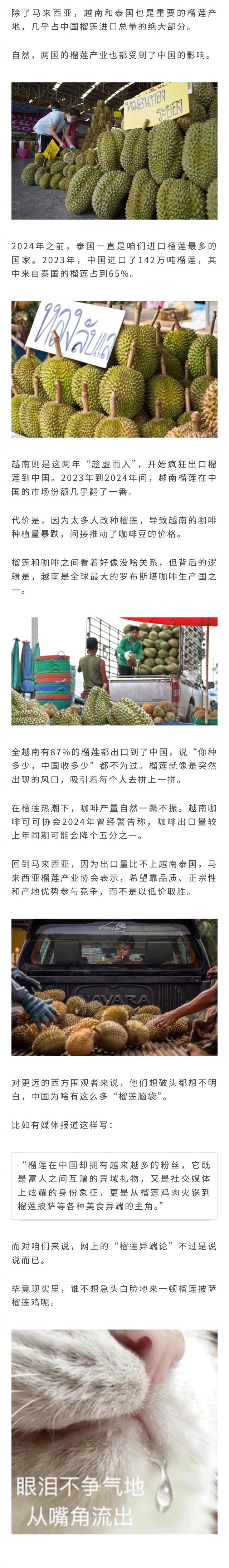 马来西亚榴莲市价腰斩、新加坡榴莲当街免费送…背后竟然有中国吃货的“神秘力量”..