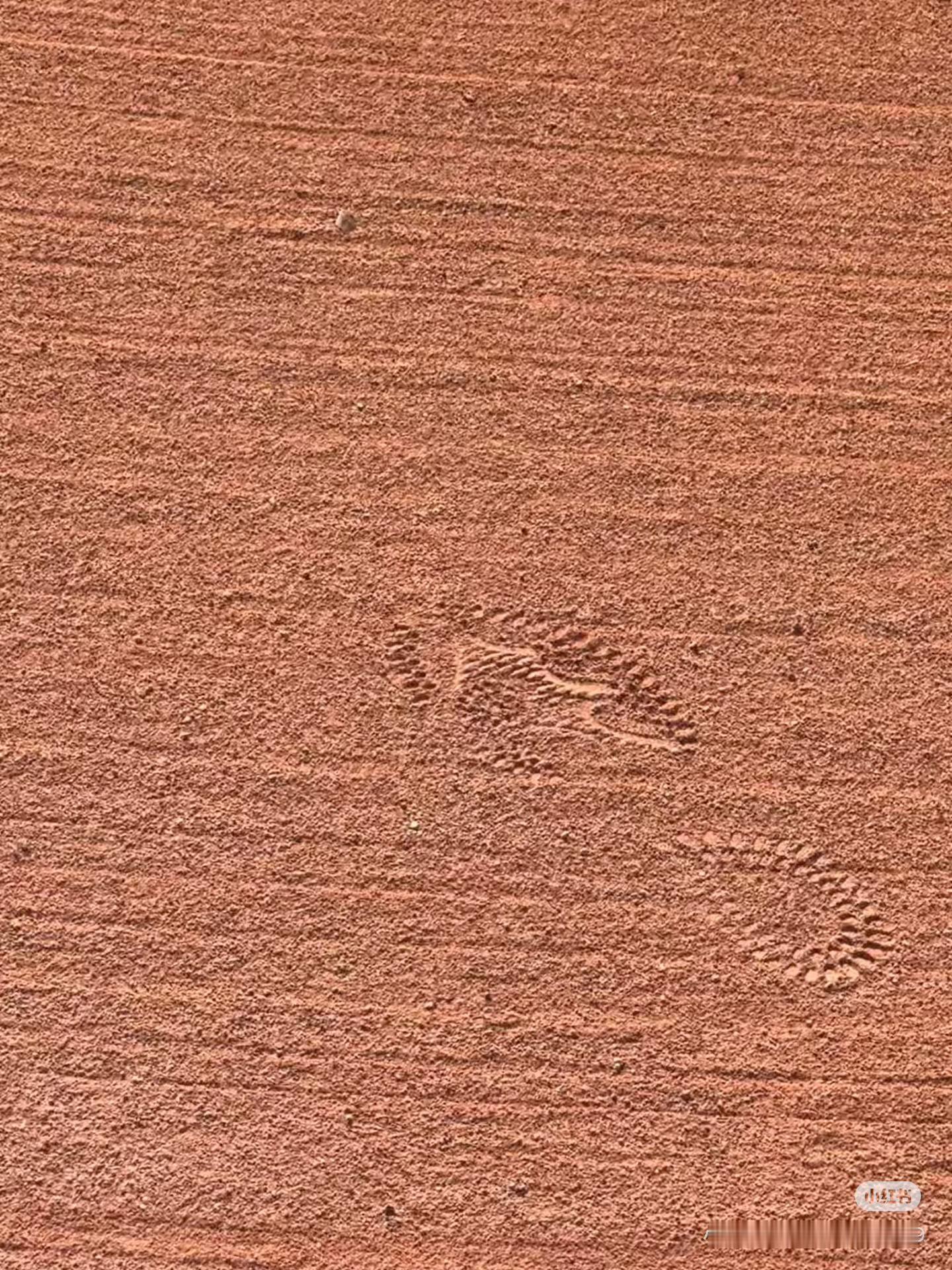 宝宝的脚印👣手印 ​​​