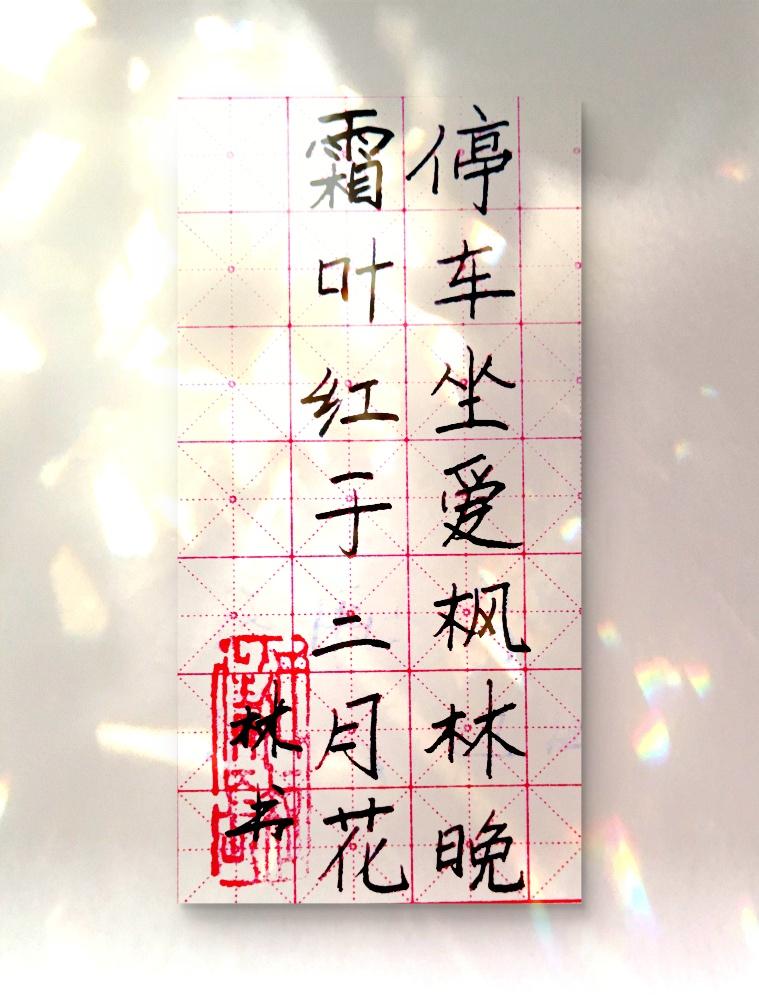 抄书品枫叶凝霜美图。