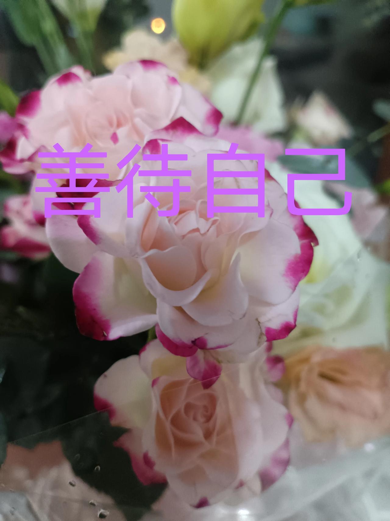 东北大雪纷飞，天气解开了寒冷的序幕。听了一个消息，心里也增添了一丝凉意。

朋友