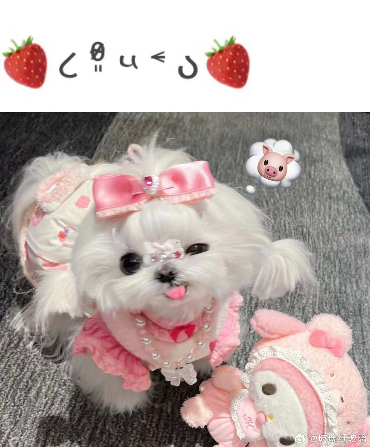 王萌萌狗时候： 